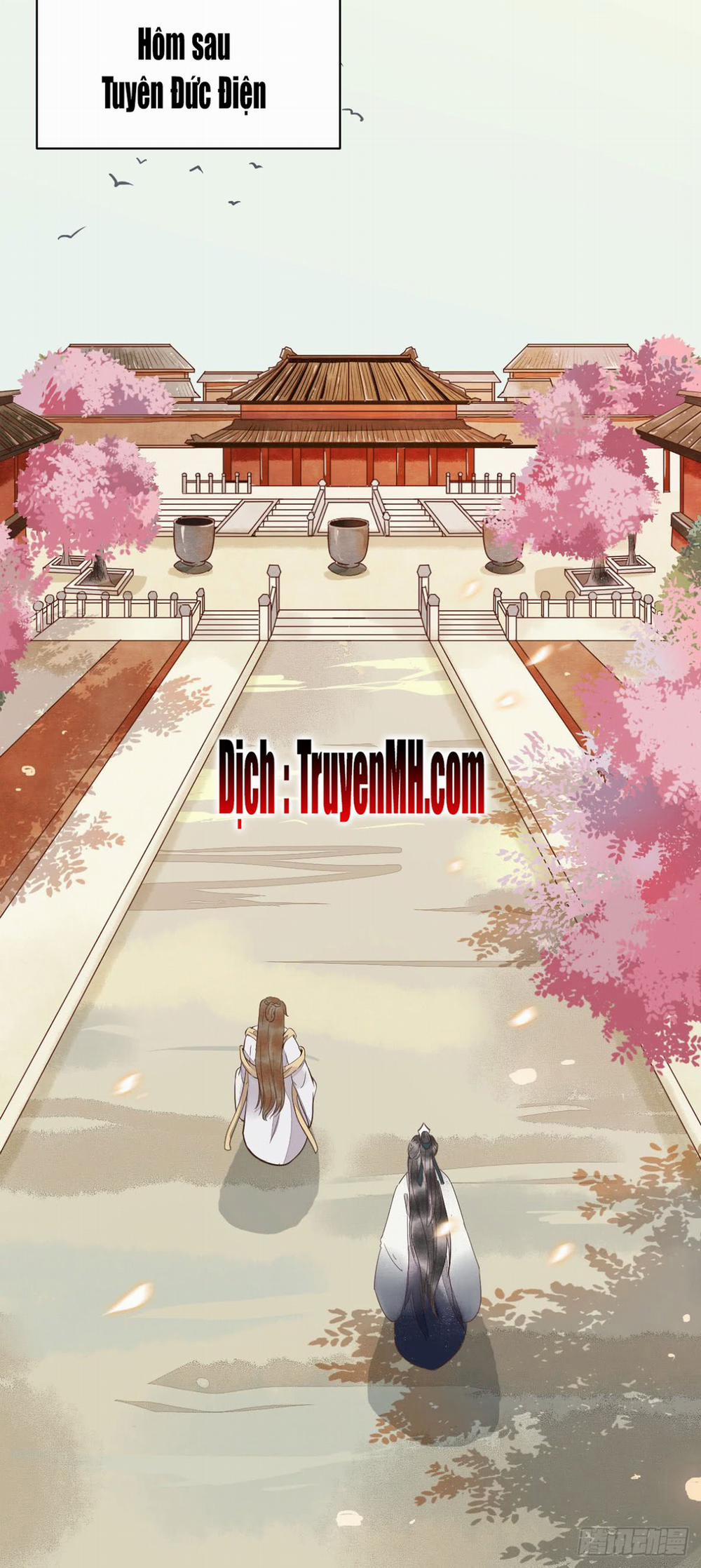 Sát Thủ Vương Phi Không Dễ Chọc 10 trang 11