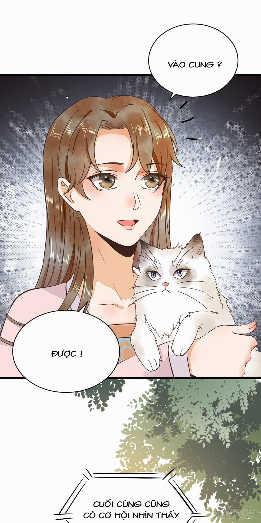 Sát Thủ Vương Phi Không Dễ Chọc 10 trang 8