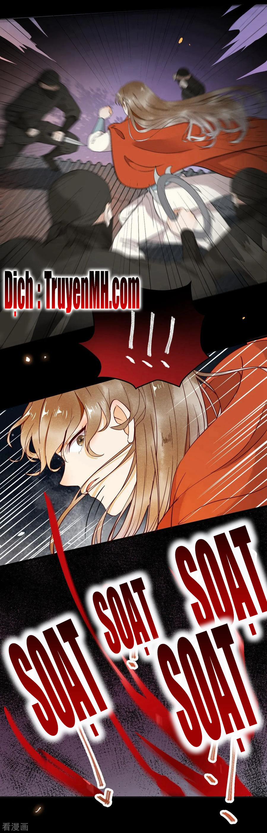 Sát Thủ Vương Phi Không Dễ Chọc 40 trang 1