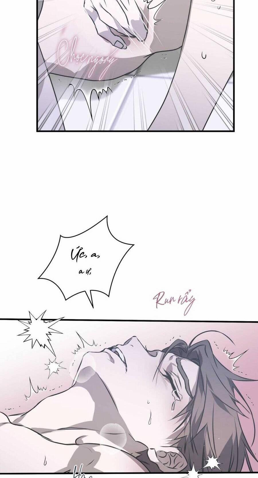 Sau Ánh Hào Quang 20 trang 18