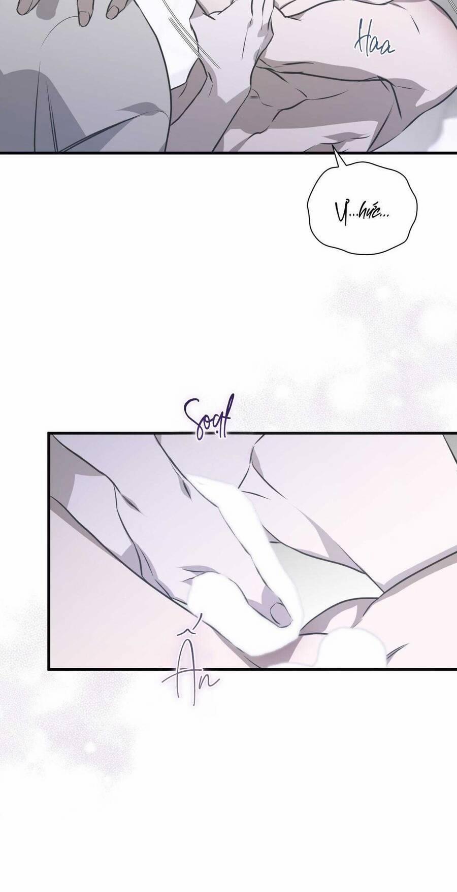 Sau Ánh Hào Quang 20 trang 25