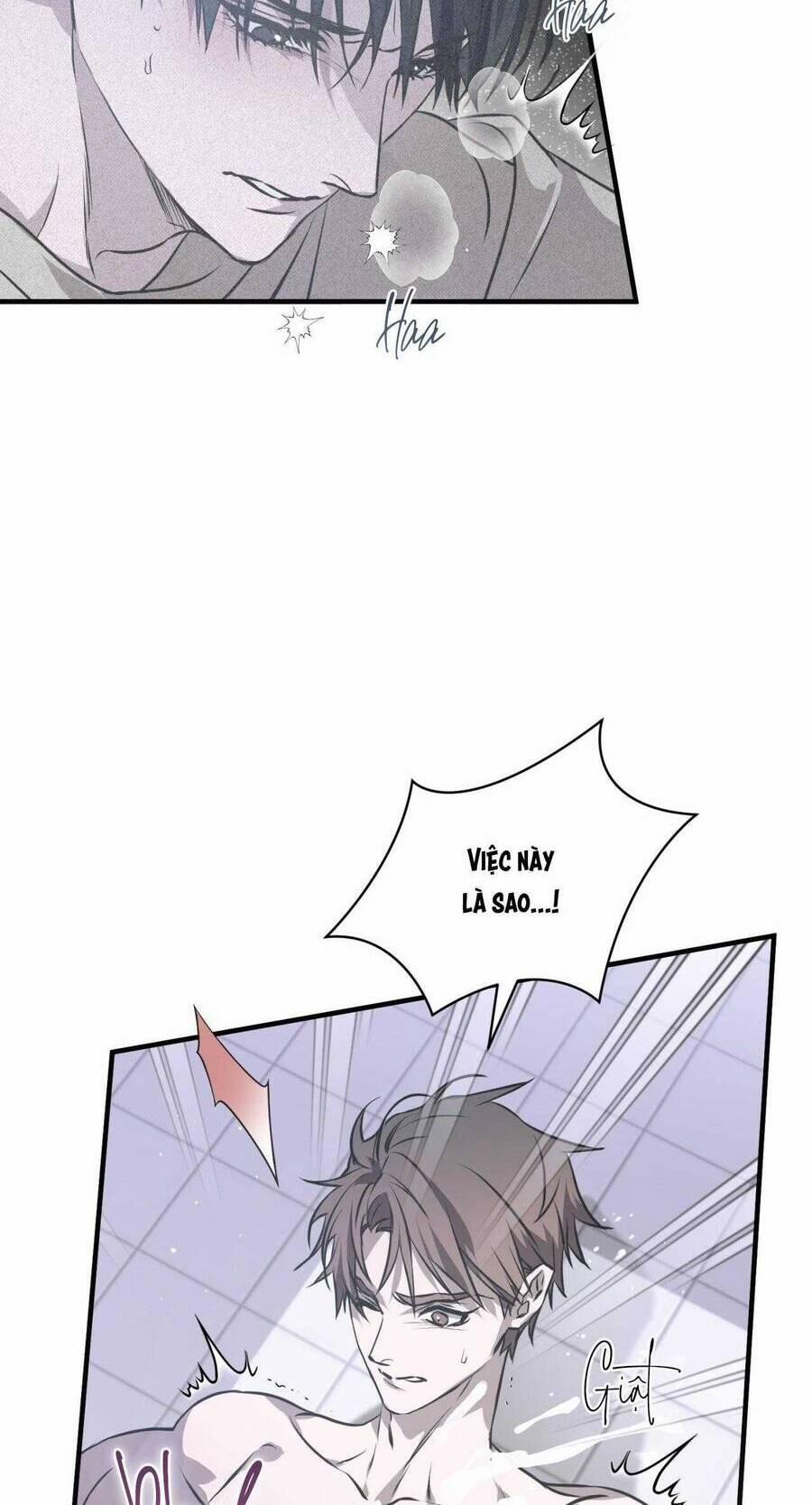 Sau Ánh Hào Quang 20 trang 6
