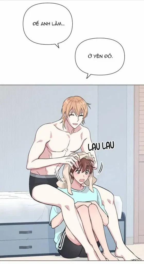 Sâu 10 trang 17