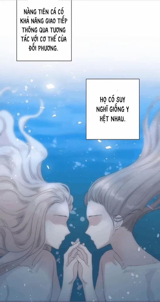 Sâu 11 trang 15