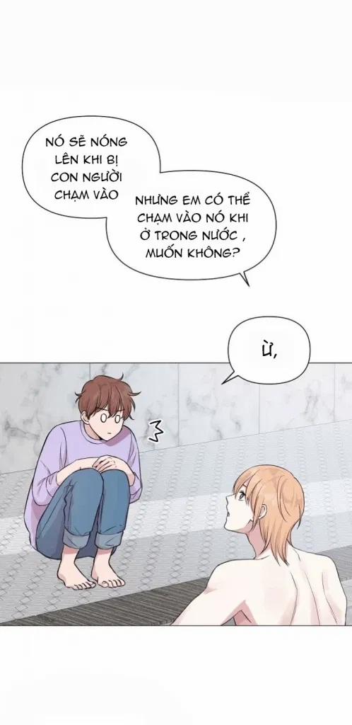 Sâu 13 trang 5