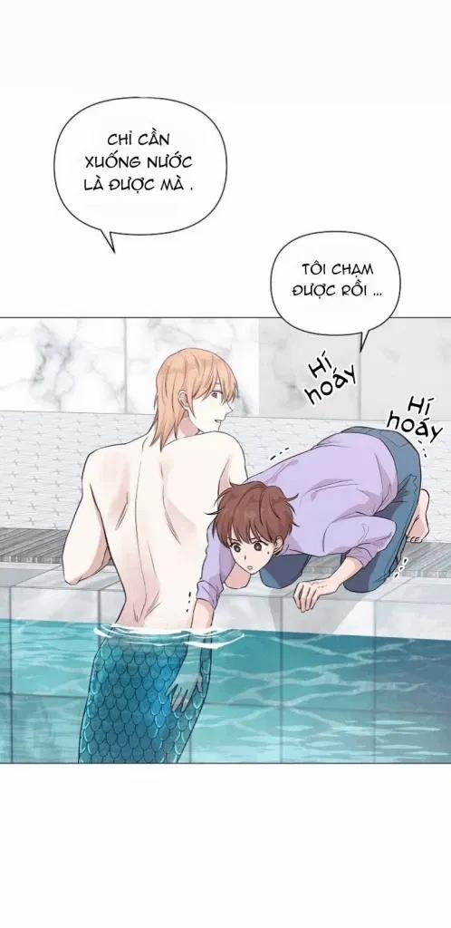 Sâu 13 trang 8