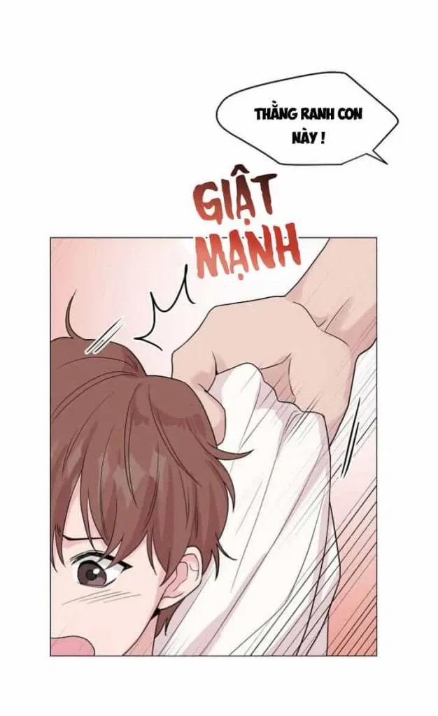 Sâu 15 trang 11