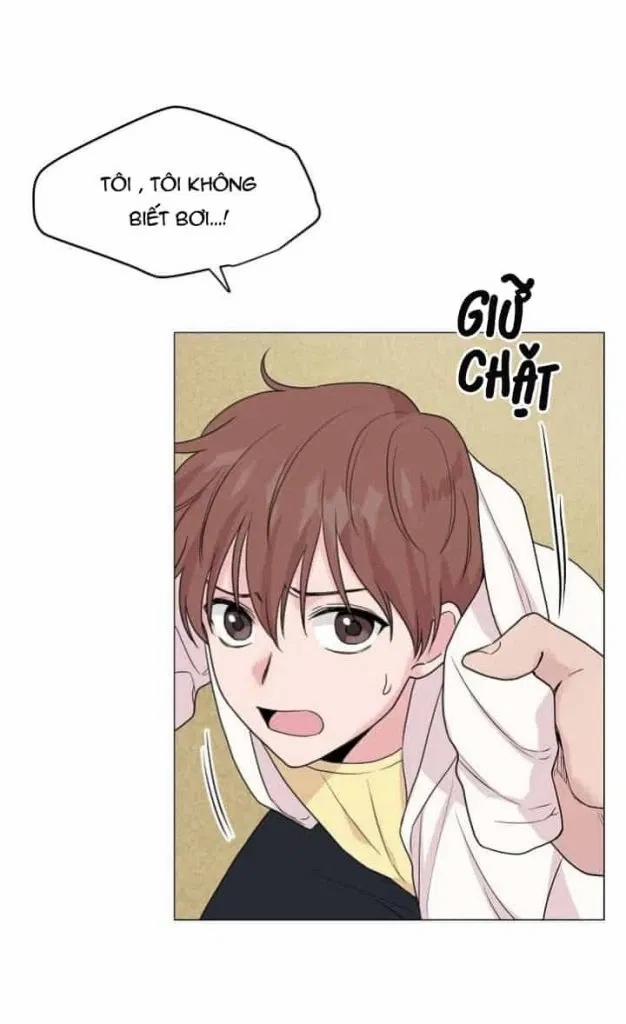 Sâu 15 trang 15