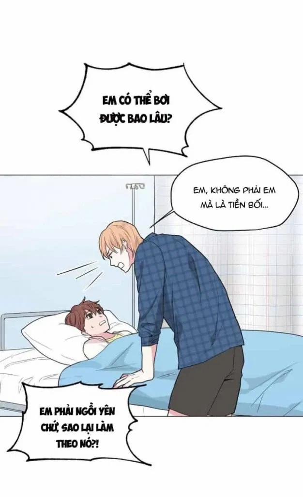Sâu 15 trang 41