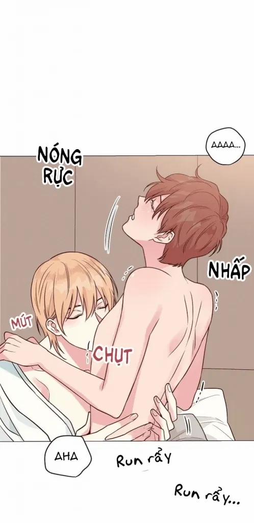 Sâu 16 trang 48