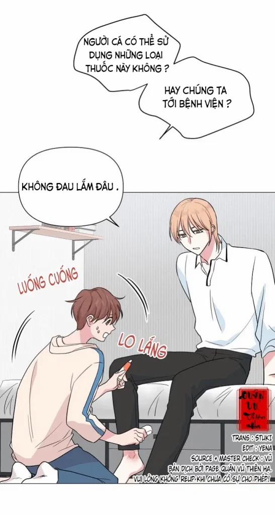 Sâu 18 trang 52