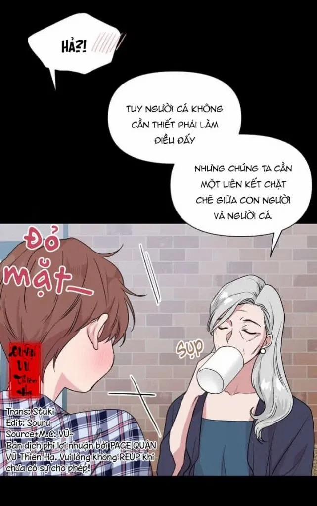 Sâu 21 trang 13