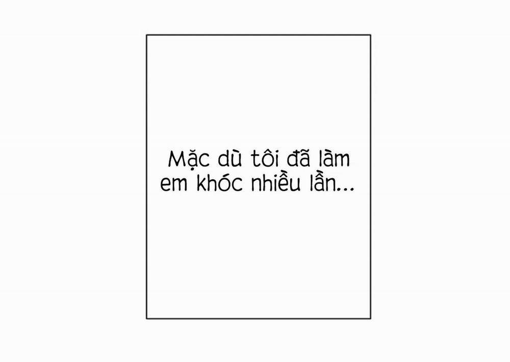 Sâu 23 trang 16