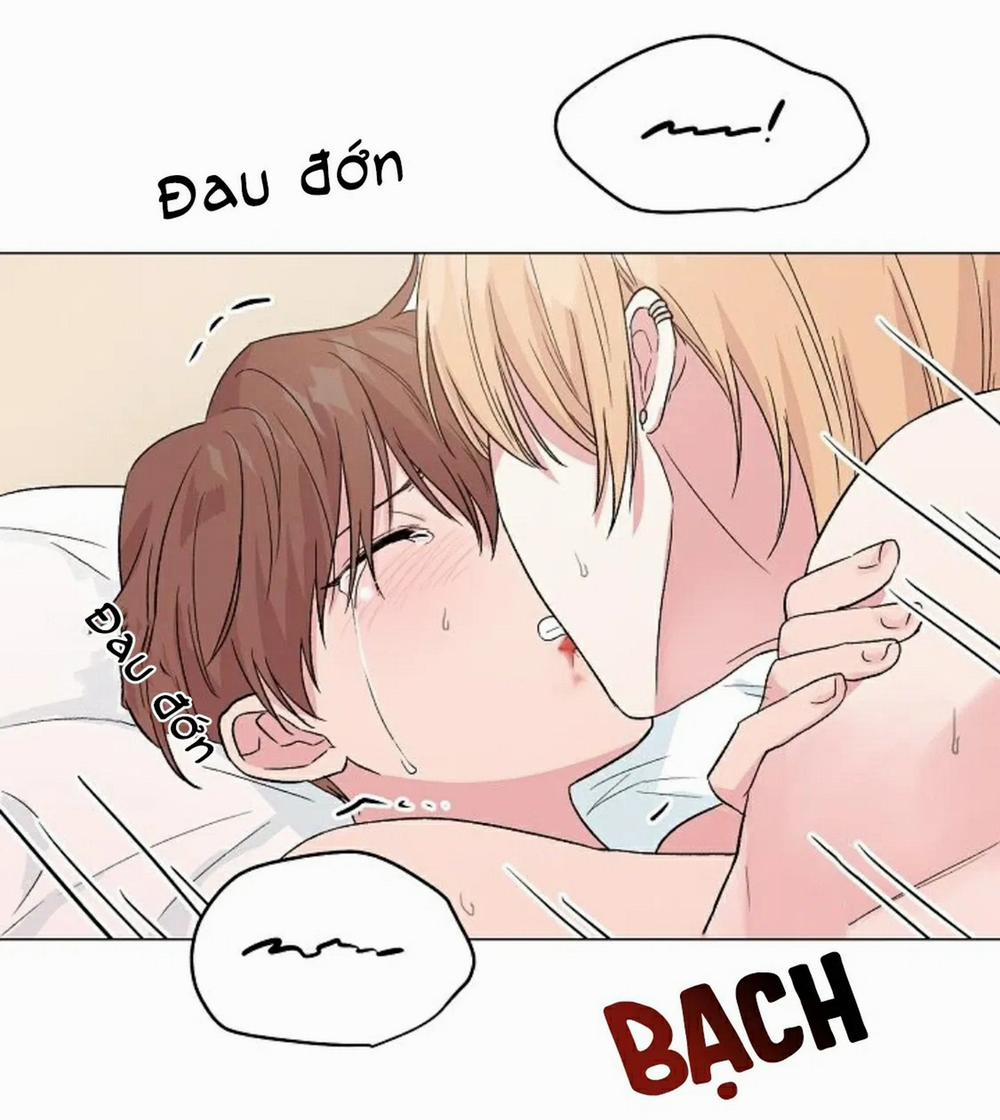 Sâu 23 trang 51