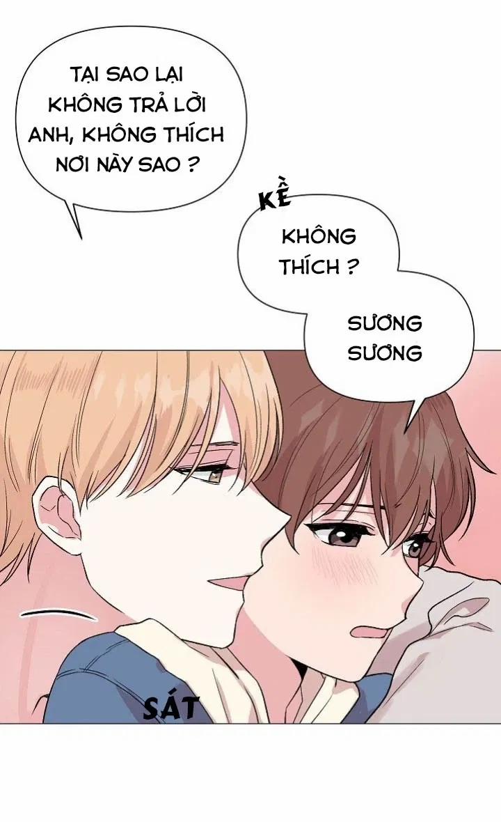 Sâu 24 trang 47