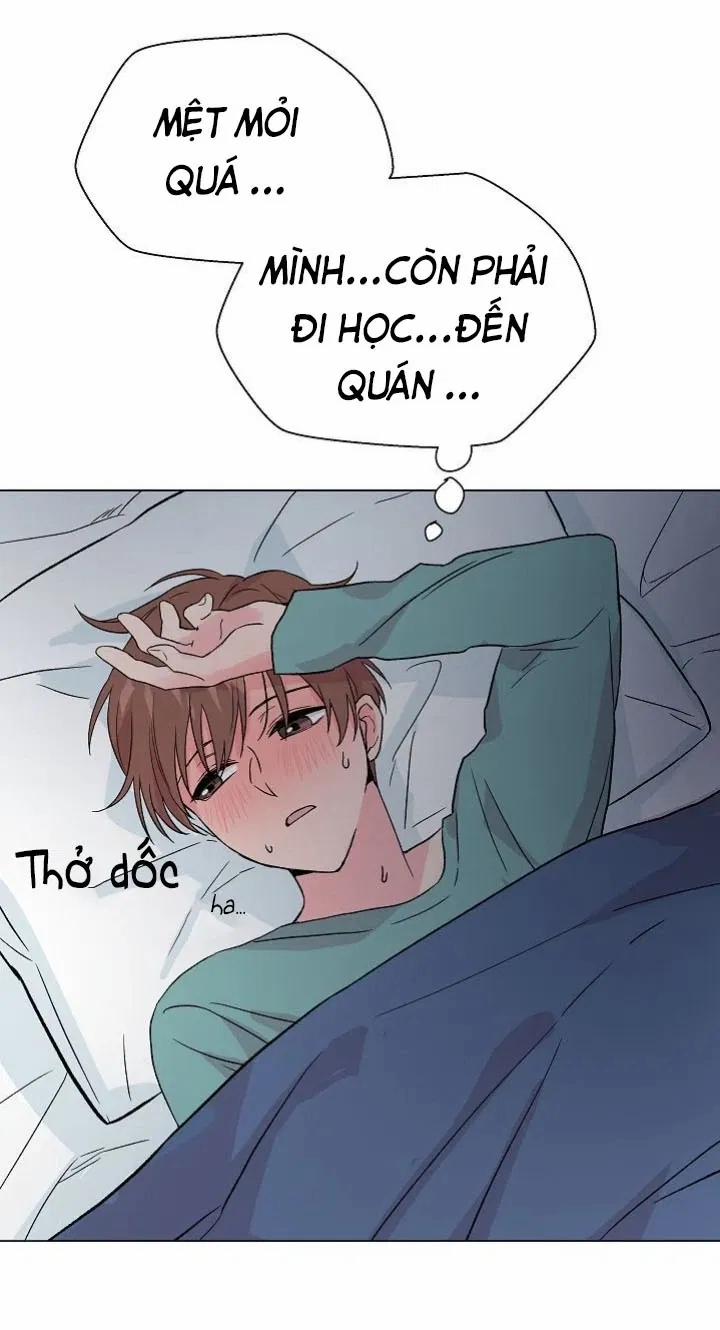 Sâu 29 trang 42