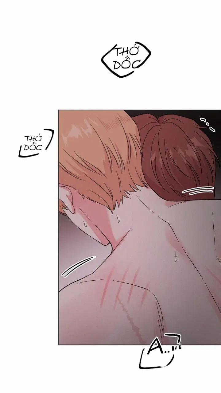 Sâu 31 trang 62
