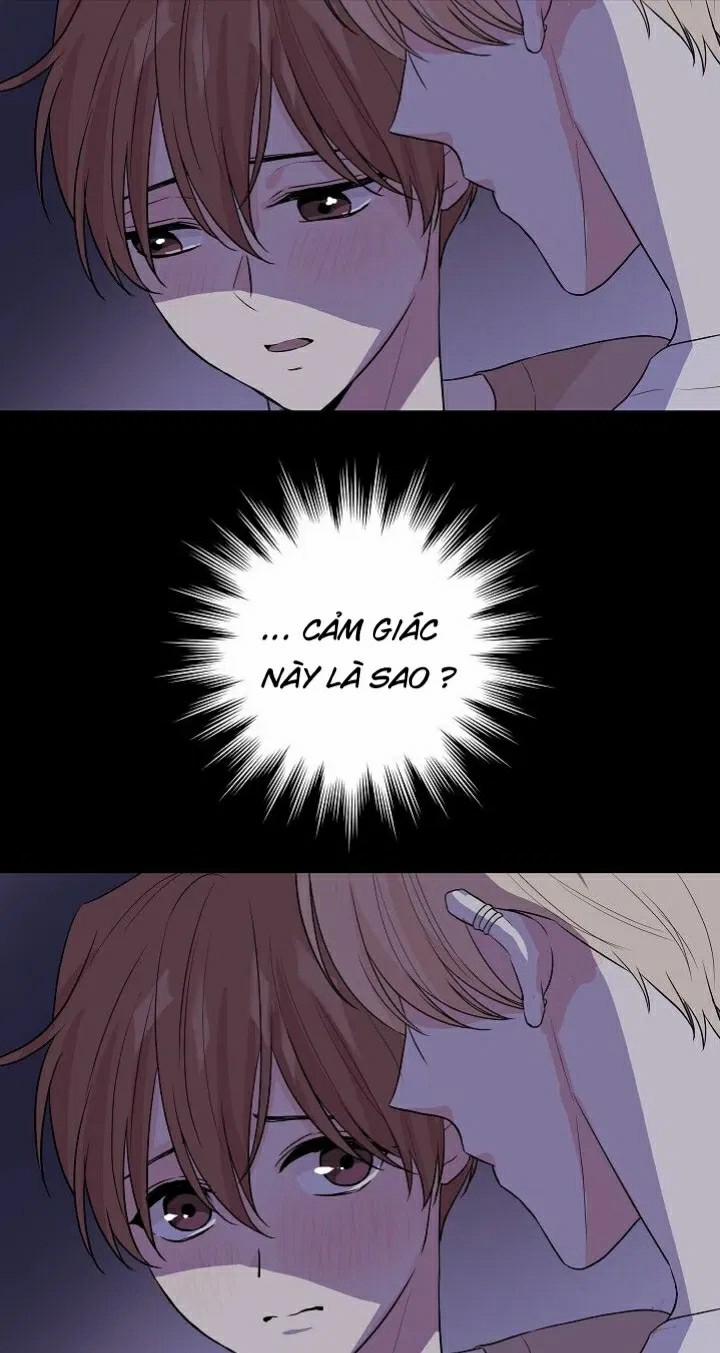Sâu 34 trang 88