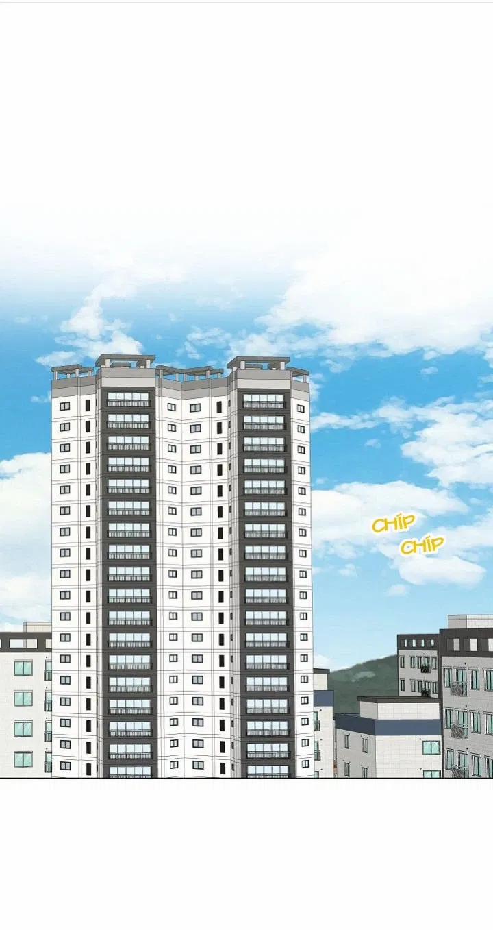 Sâu 36 trang 1