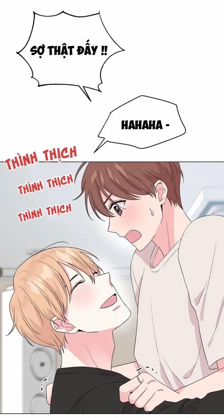 Sâu 37 trang 39
