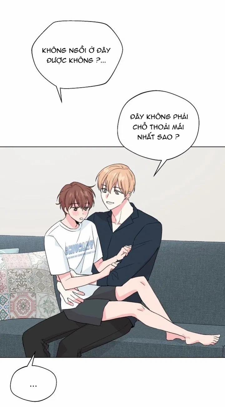 Sâu 37 trang 55