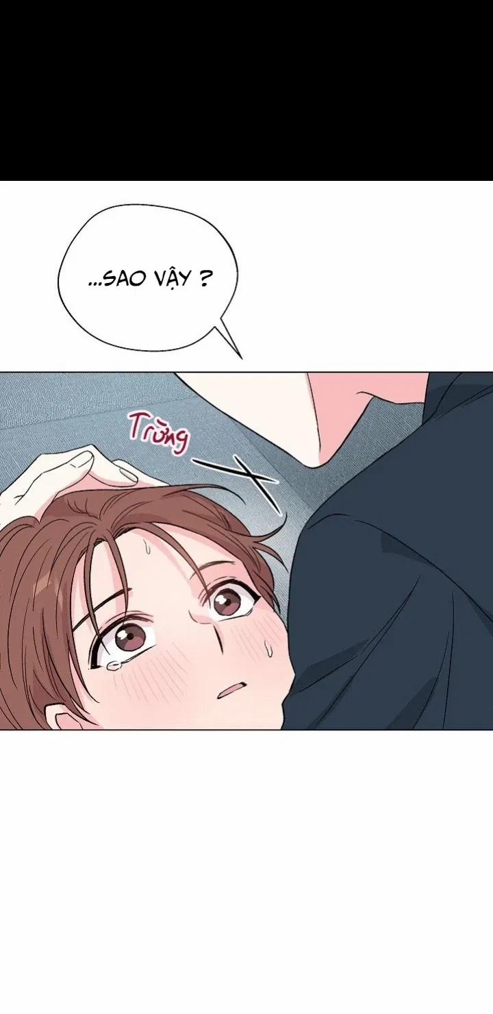 Sâu 38 trang 38