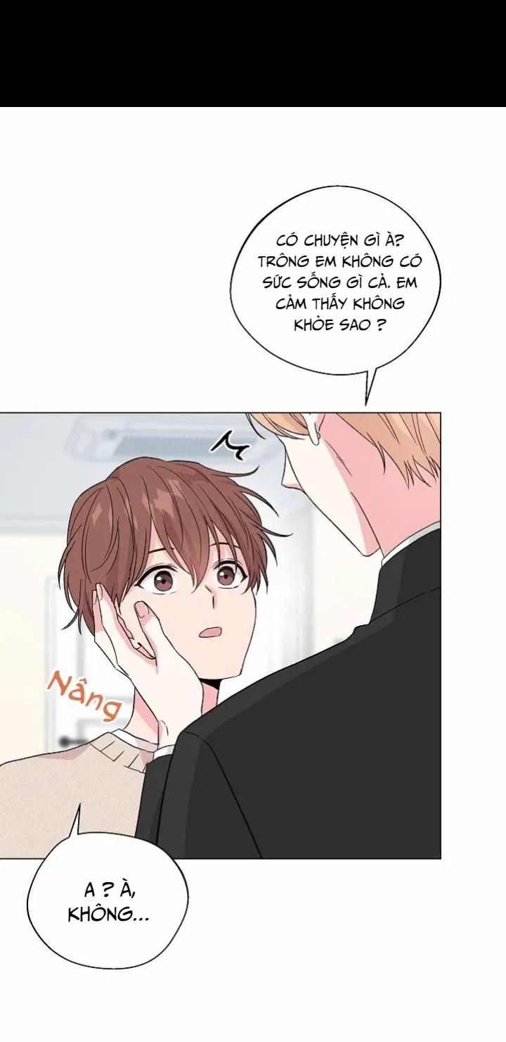 Sâu 38 trang 45