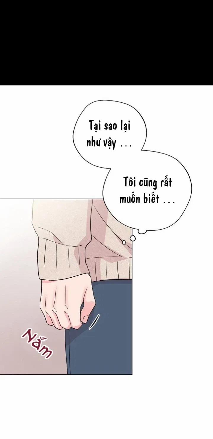 Sâu 38 trang 48