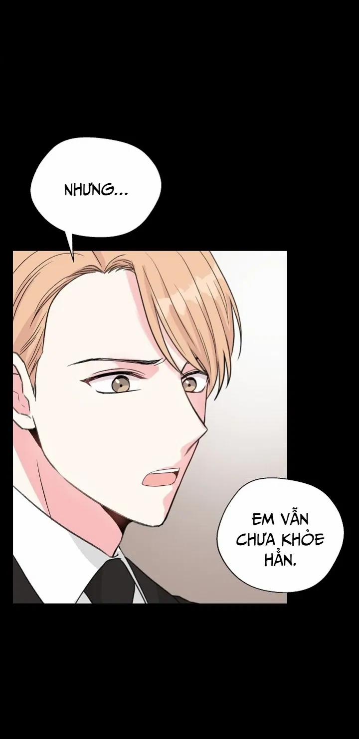 Sâu 40 trang 45