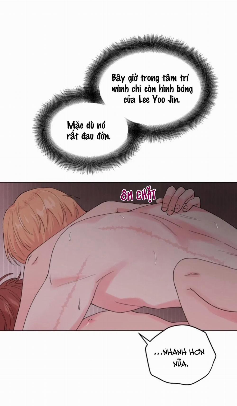 Sâu 45 trang 52