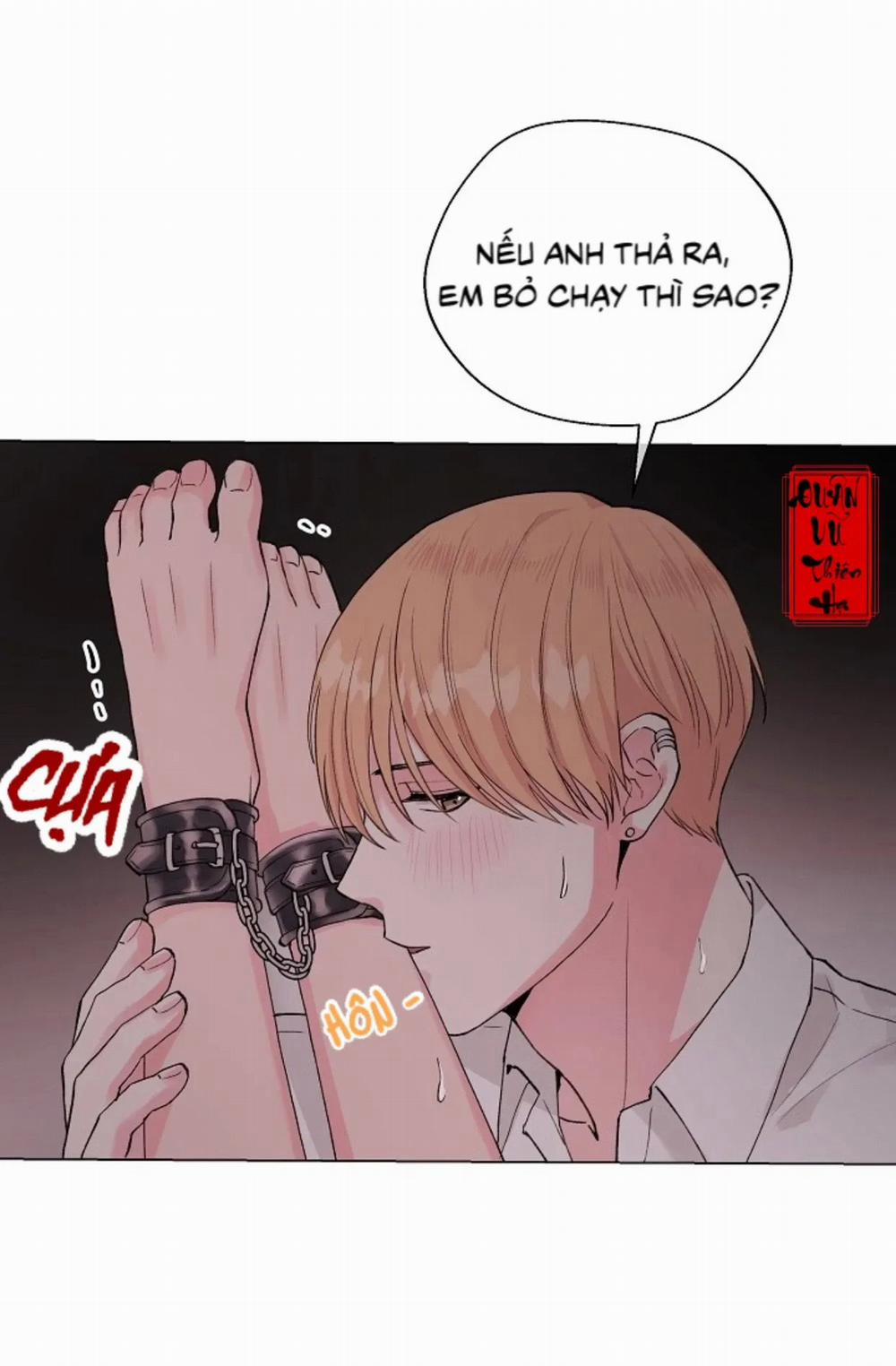 Sâu 50 trang 51