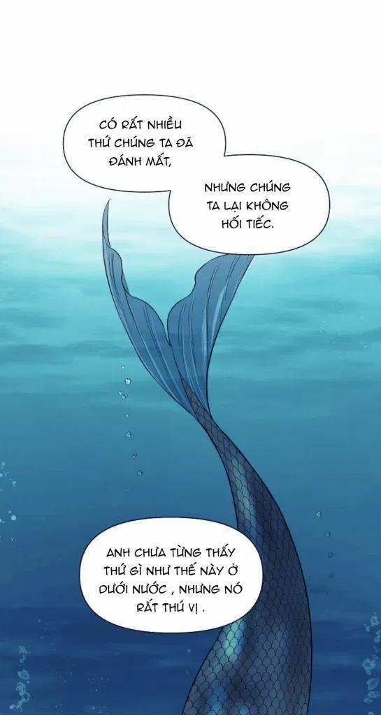 Sâu 7 trang 41