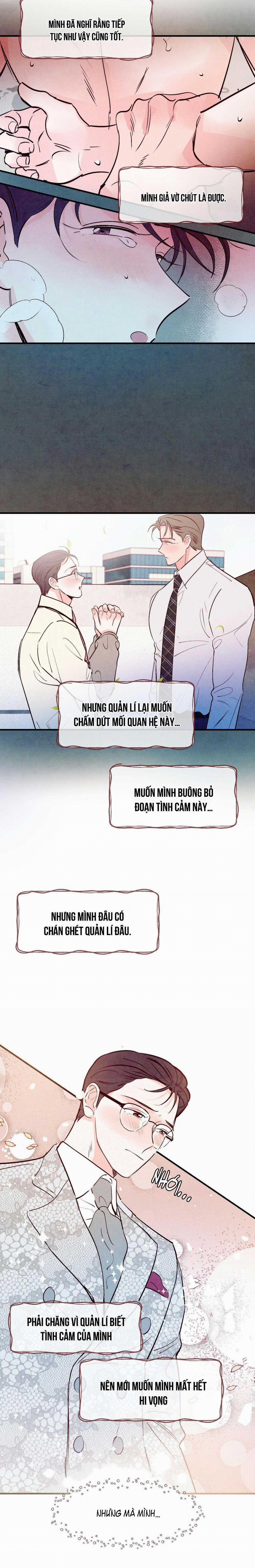 Say Tình 24 trang 8