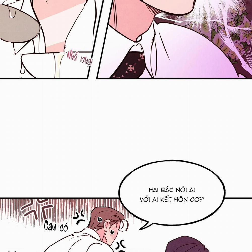 Say Tình 48 trang 16