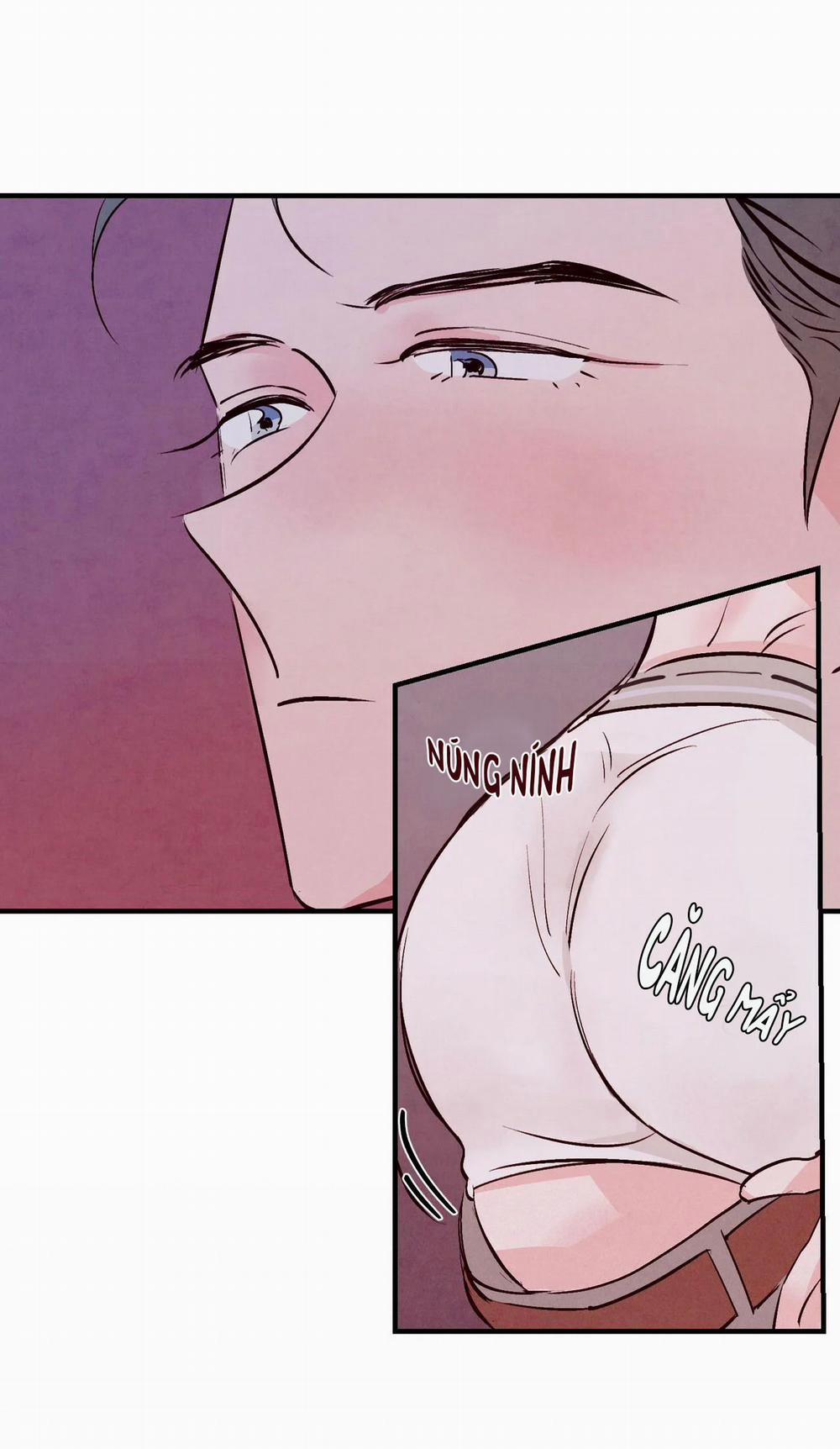 Say Tình 5 trang 21