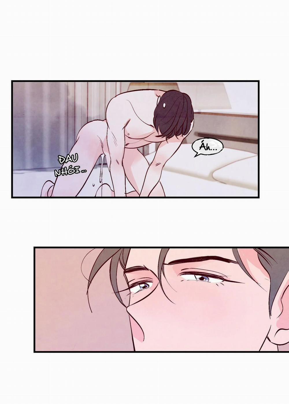 Say Tình 7 trang 17