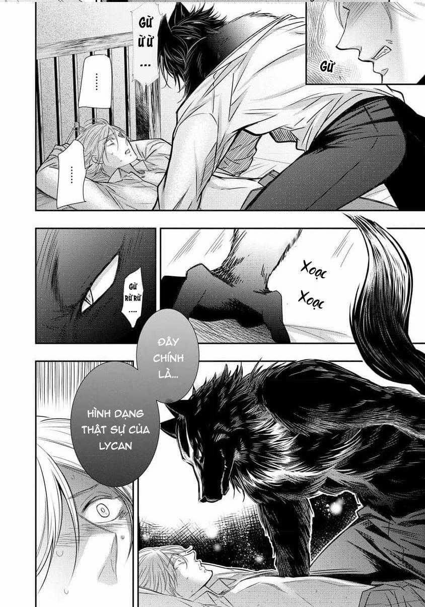 Say Tình 80 trang 27