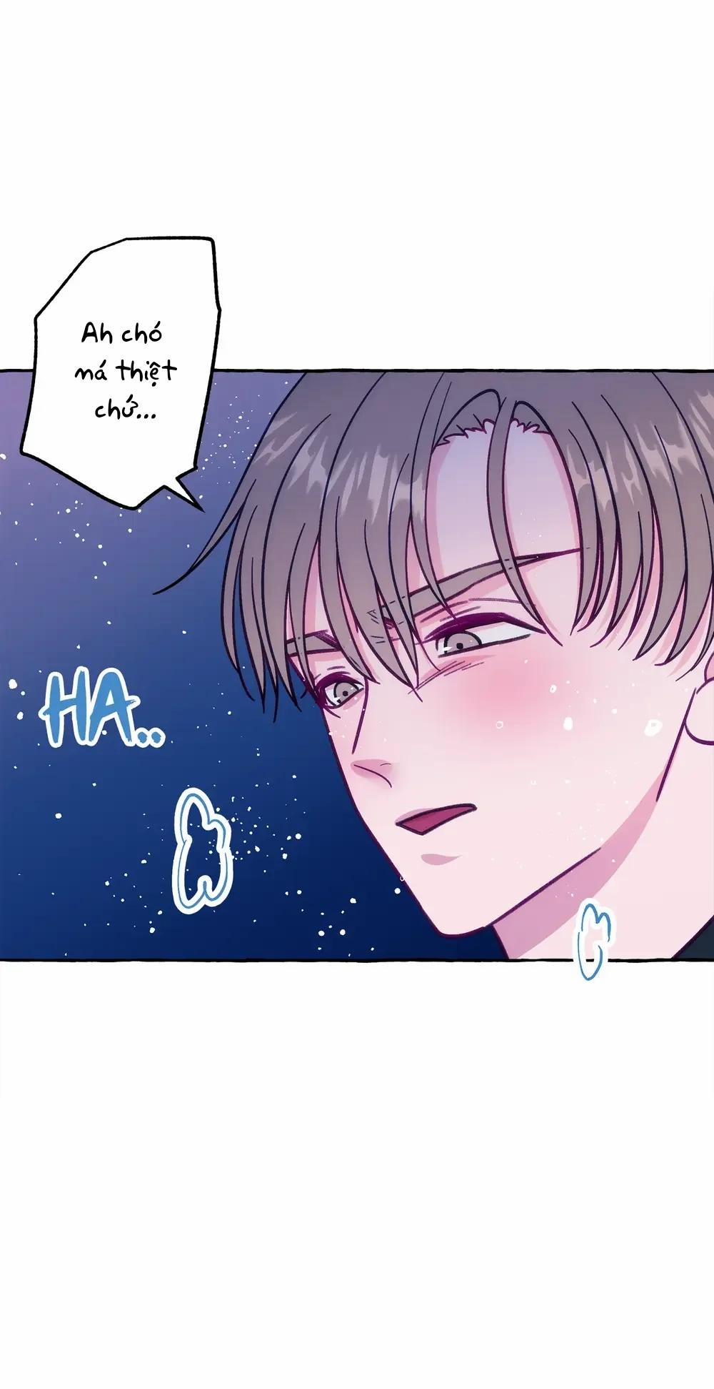 Sello 3 0 3 trang 14