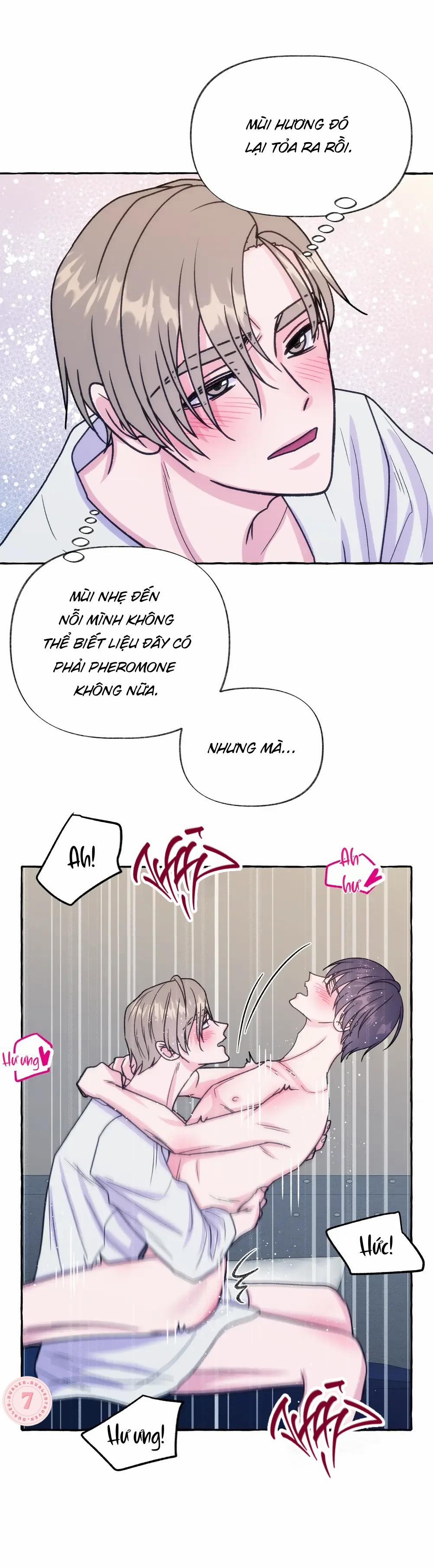 Seollo 7 0 7 0 0 trang 8