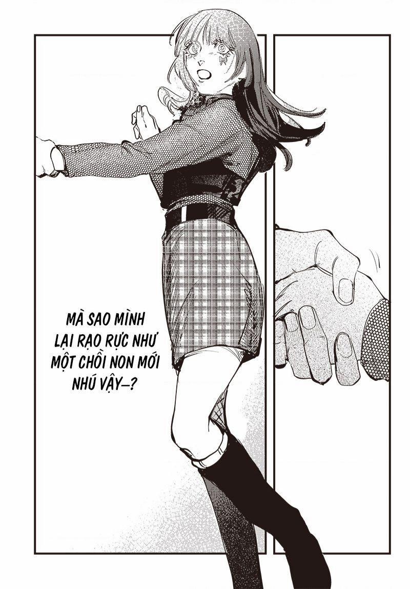 Shepherd House Hotel 6 trang 4