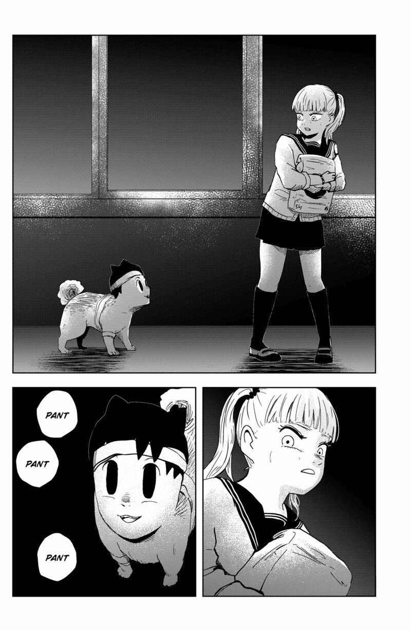 Shibatarian 19 trang 5