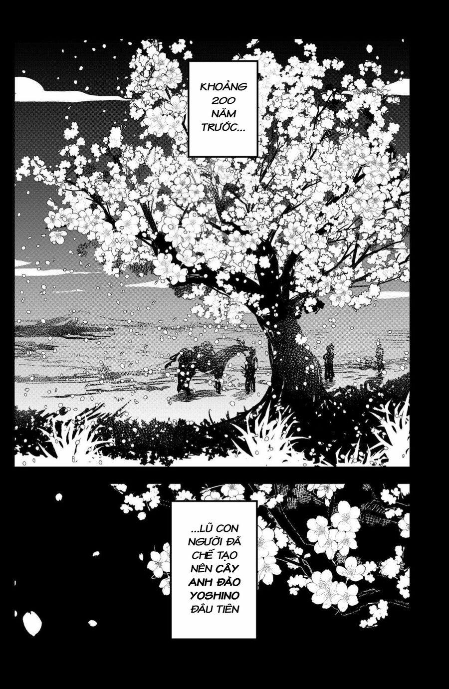 Shibatarian 20 trang 3