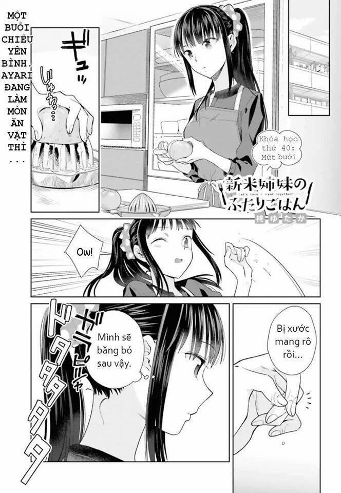 Shinmai Shimai No Futari Gohan 40 trang 1
