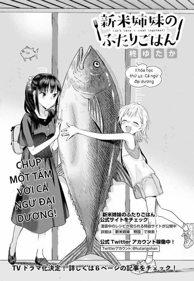 Shinmai Shimai No Futari Gohan 42 trang 2