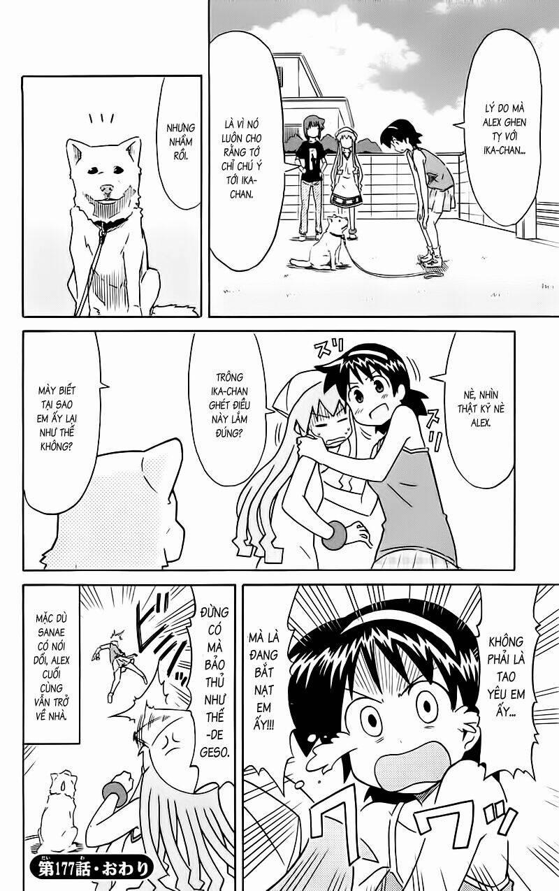 Shinryaku! Ika Musume 177 trang 7