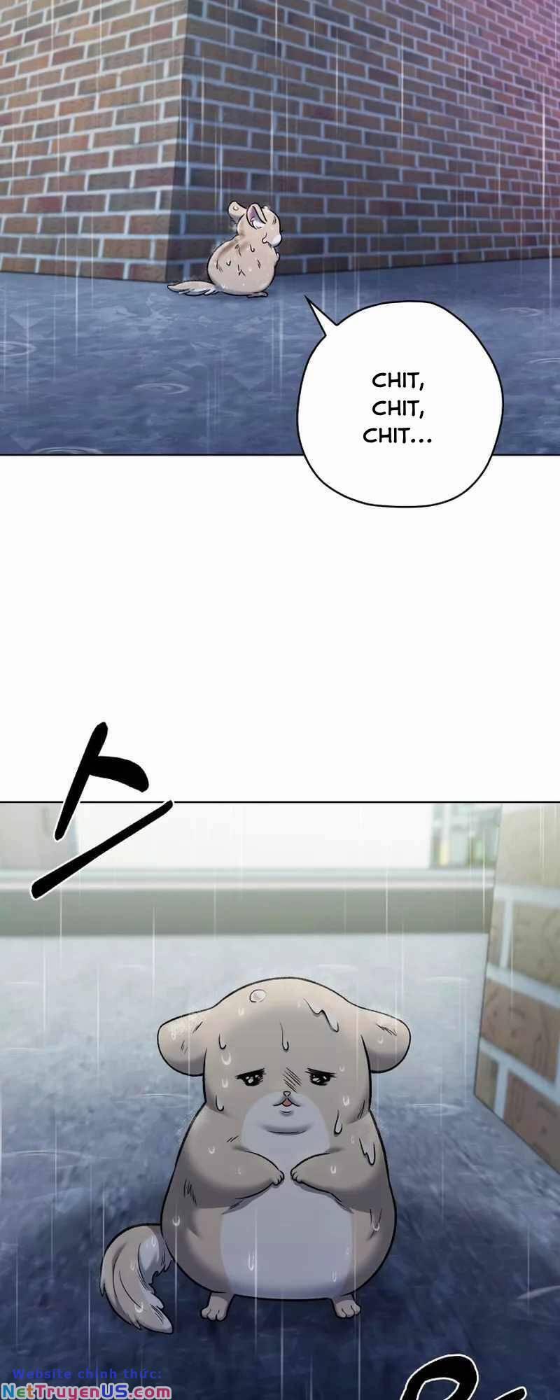 Shipper Đến Từ Murim 11 trang 74