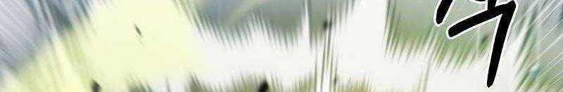 Shipper Đến Từ Murim 53 trang 334