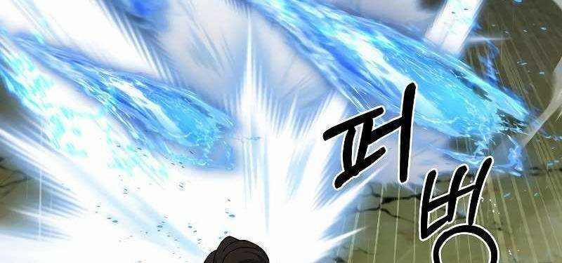 Shipper Đến Từ Murim 53 trang 403