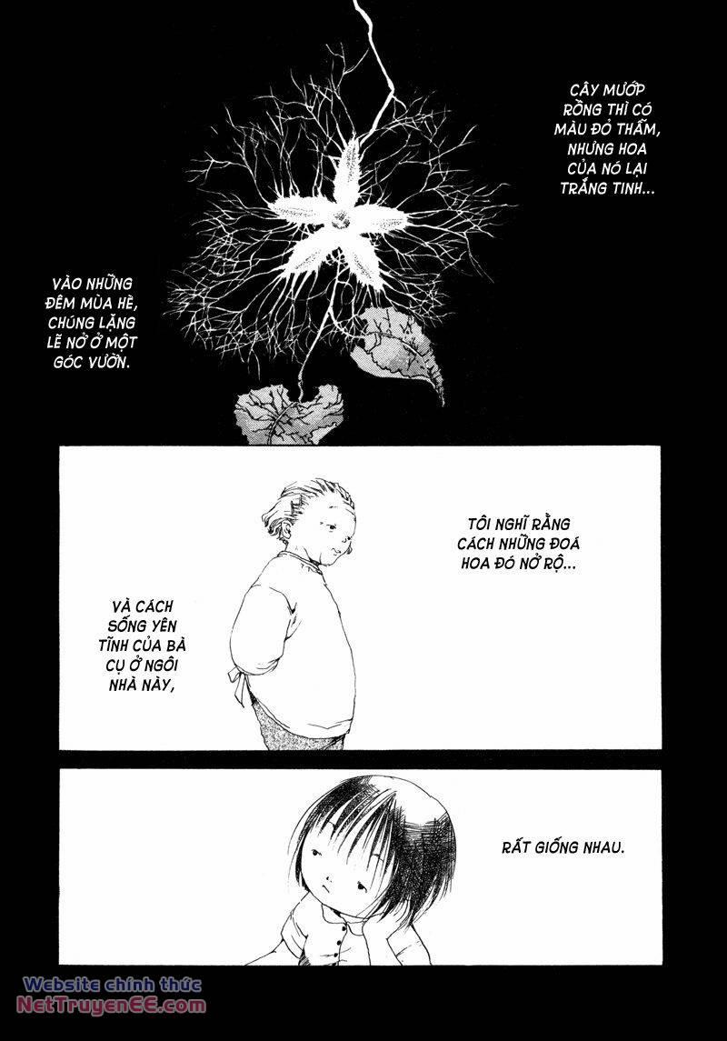 Shiroi Kumo 12 trang 5