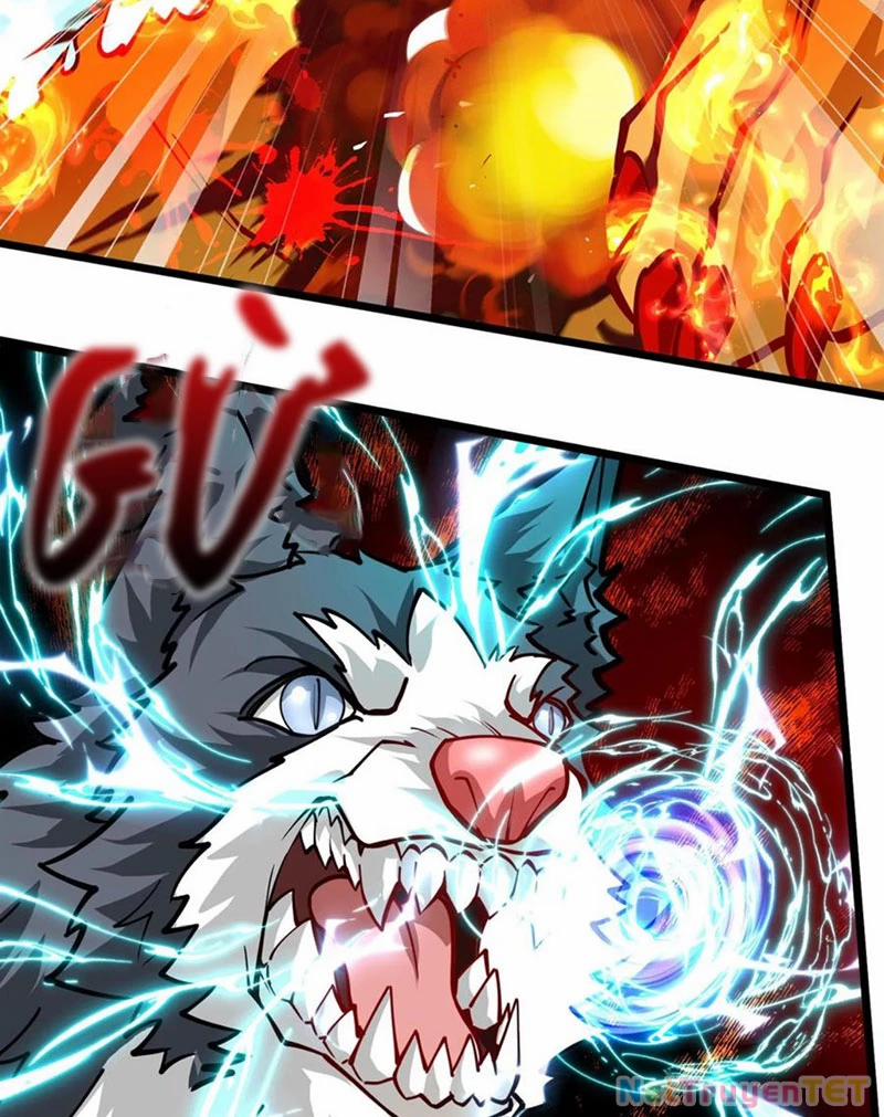 Slime Ta Treo Cự Long Lên Đánh Là Hợp Lý Nhỉ? 259 trang 3